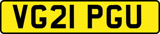 VG21PGU