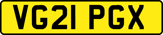 VG21PGX