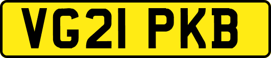 VG21PKB
