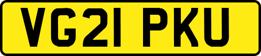 VG21PKU