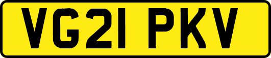 VG21PKV