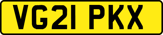 VG21PKX