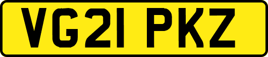 VG21PKZ
