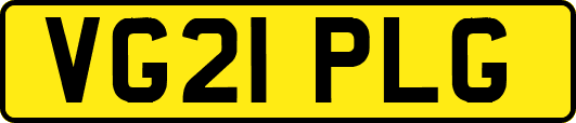VG21PLG