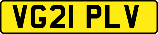 VG21PLV