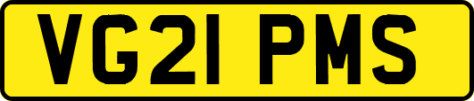 VG21PMS