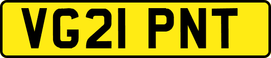 VG21PNT