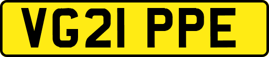 VG21PPE