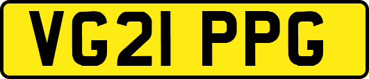 VG21PPG