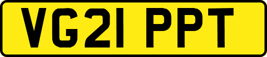 VG21PPT