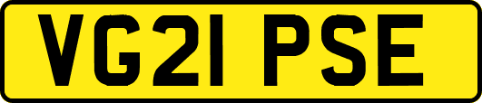 VG21PSE