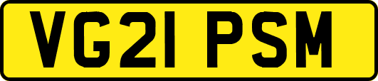 VG21PSM