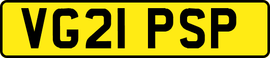 VG21PSP