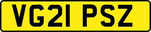 VG21PSZ