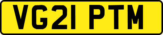 VG21PTM
