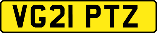VG21PTZ