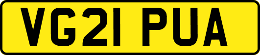 VG21PUA