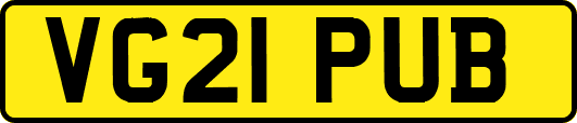 VG21PUB