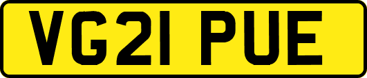 VG21PUE