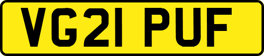 VG21PUF