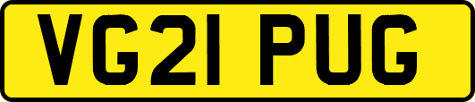 VG21PUG