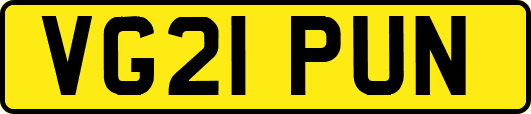 VG21PUN