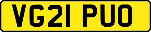 VG21PUO