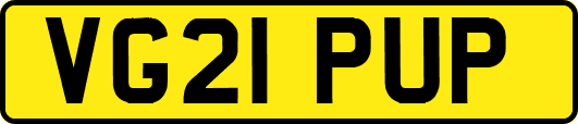 VG21PUP