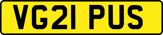 VG21PUS