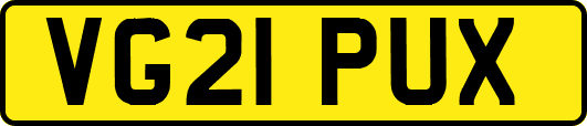 VG21PUX