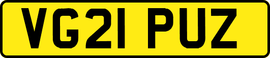 VG21PUZ