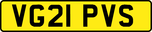 VG21PVS