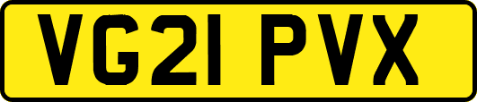VG21PVX
