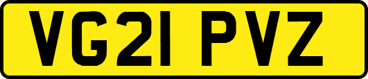 VG21PVZ