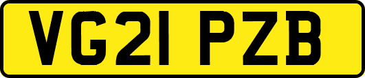 VG21PZB