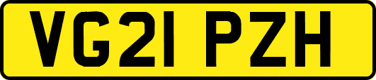 VG21PZH