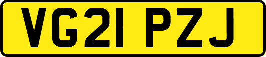 VG21PZJ