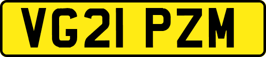 VG21PZM