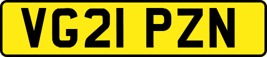 VG21PZN