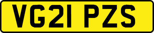 VG21PZS