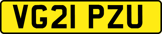 VG21PZU