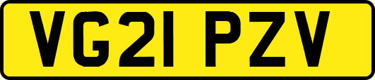 VG21PZV