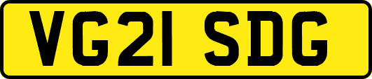 VG21SDG