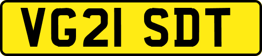 VG21SDT