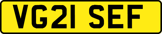 VG21SEF