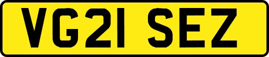 VG21SEZ