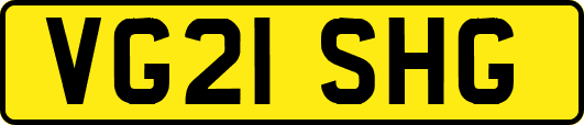 VG21SHG