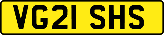 VG21SHS