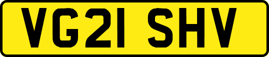 VG21SHV