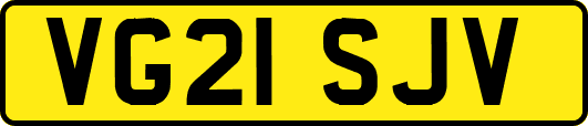 VG21SJV